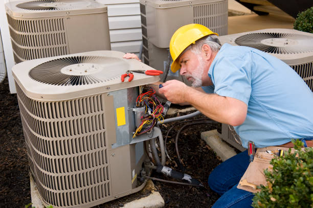 Best Best HVAC companies  in St Charles, MN